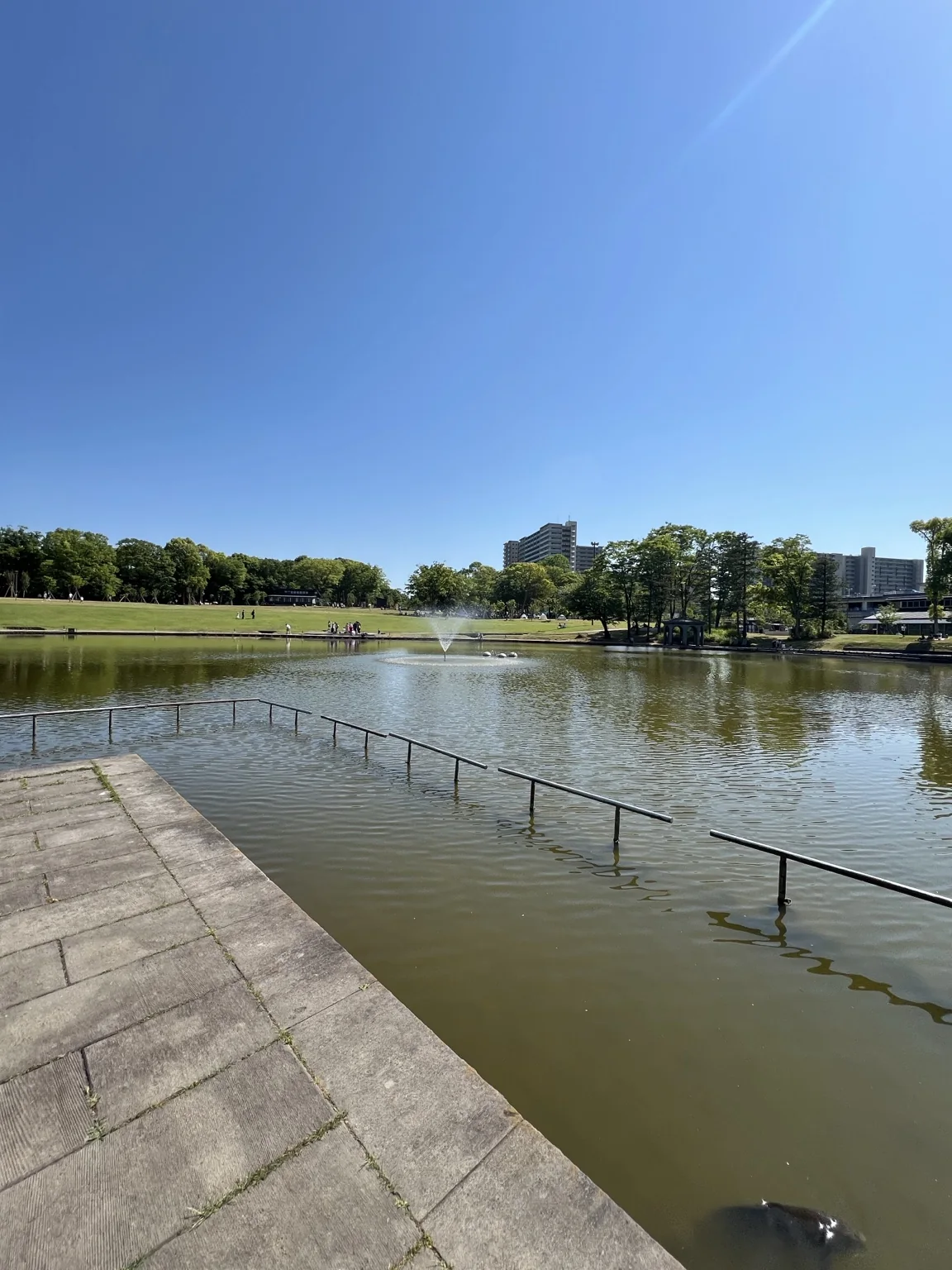 多摩市の公園と水辺の風景(LTS撮影)